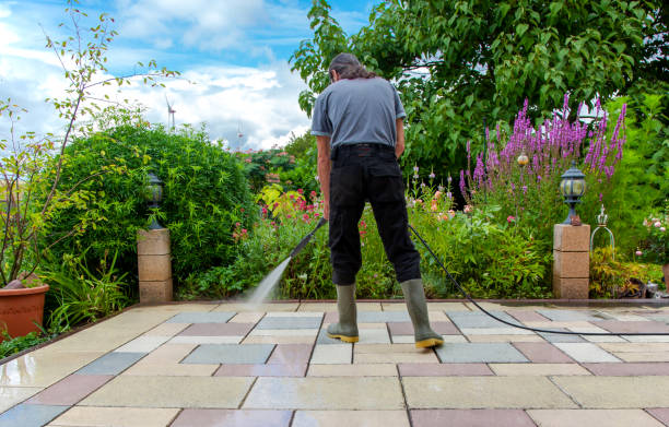 Best Sidewalk and Walkway Cleaning  in Pickens, MS