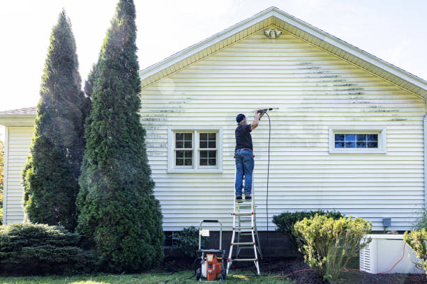 Best Patio and Deck Pressure Washing  in Pickens, MS